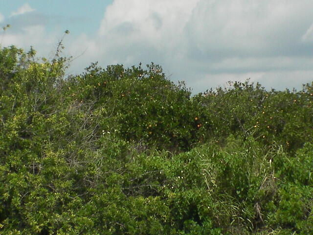 SANY0029