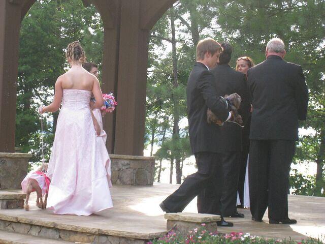 IMG 1255 jpg s