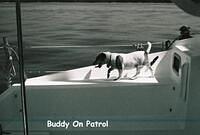 Buddy on Patrol