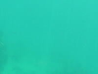 SANY0017